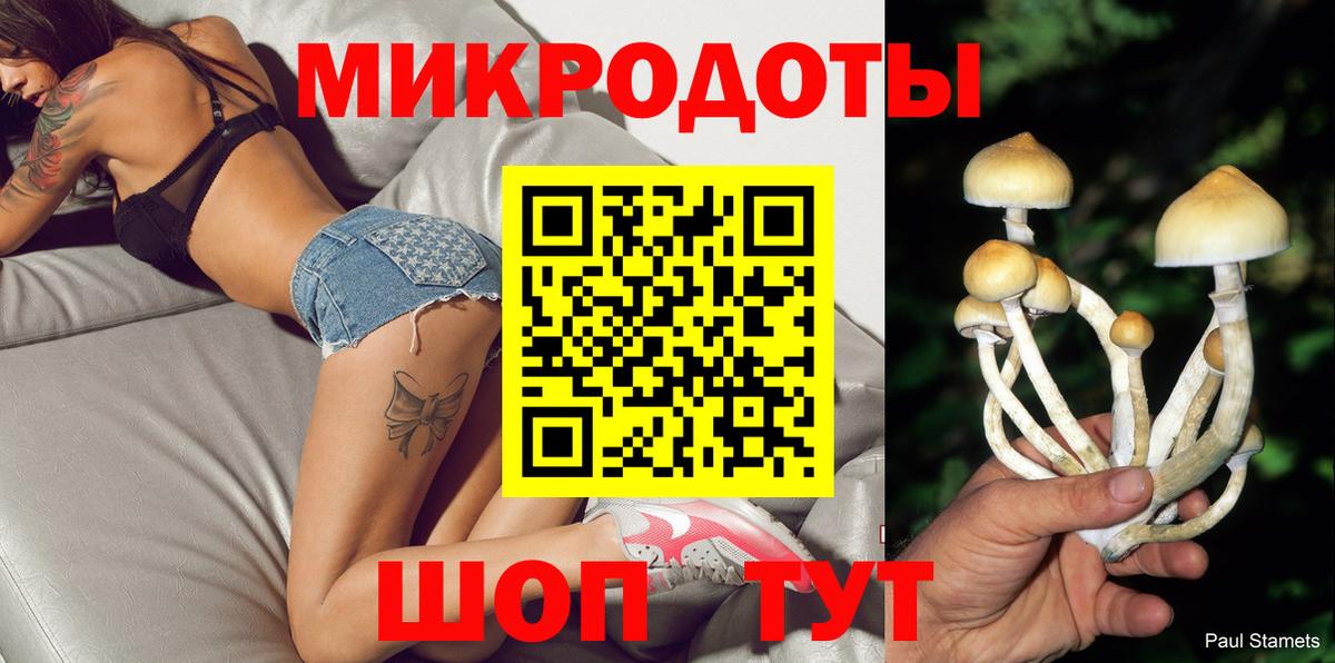 Псилоцибиновые грибы Cubensis Лесосибирск